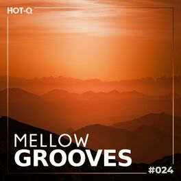 Album cover of Mellow Grooves 024