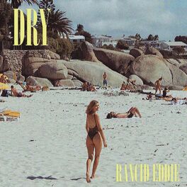 Album cover of Dry