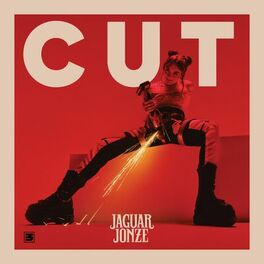 Album cover of CUT