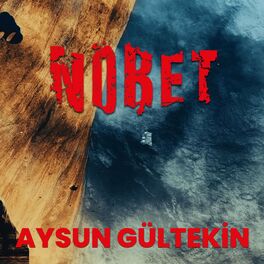 Album cover of Turnam (feat. Aysun Gültekin)