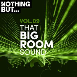 Album cover of Nothing But... That Big Room Sound, Vol. 09