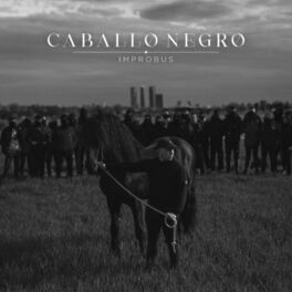 Album cover of Caballo Negro