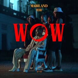 Album cover of WOW