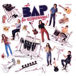 Album cover of Für Usszeschnigge