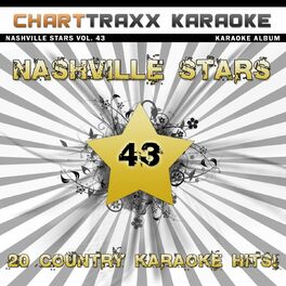 Album cover of Nashville Stars, Vol. 43 (20 Country Karaoke Hits)