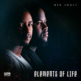 Album cover of Elements Of Life