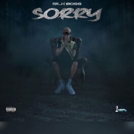 Album cover of Sorry (Radio Edit)
