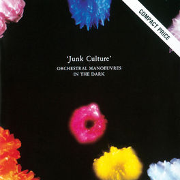 Album cover of Junk Culture