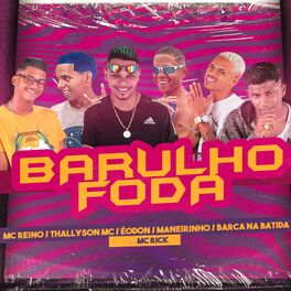 Album cover of Barulho Foda (Brega Funk)