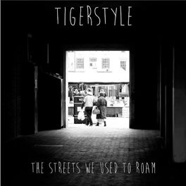 Album cover of The Streets We Used to Roam
