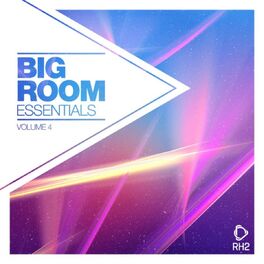 Album cover of Big Room Essentials, Vol. 4