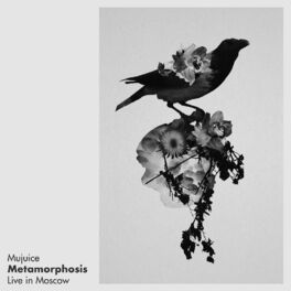 Album cover of Metamorphosis (Live in Moscow)