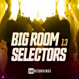Album cover of Big Room Selectors, 13