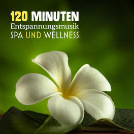 Album cover of 120 Minuten Entspannungsmusik: Spa und Wellness, Naturgeräusche für Heilmassage, Entspannungszeit, Reiki Heilung
