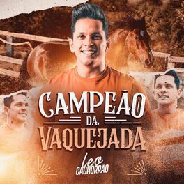 Album cover of Campeão da Vaquejada