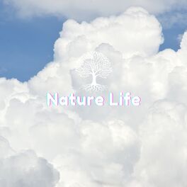 Album cover of Verdant Canopy