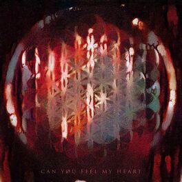 Album cover of Can You Feel My Heart (feat. La Mosca Tse-Tse, Los Enanitos Verdes & Tony Dize )