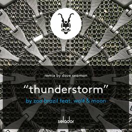 Album cover of Thunderstorm