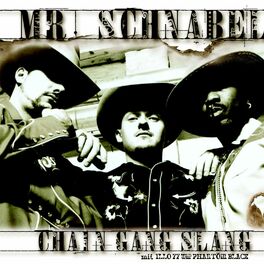 Album cover of Chain Gang Slang