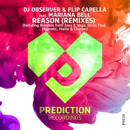 Album cover of Reason (Remix)