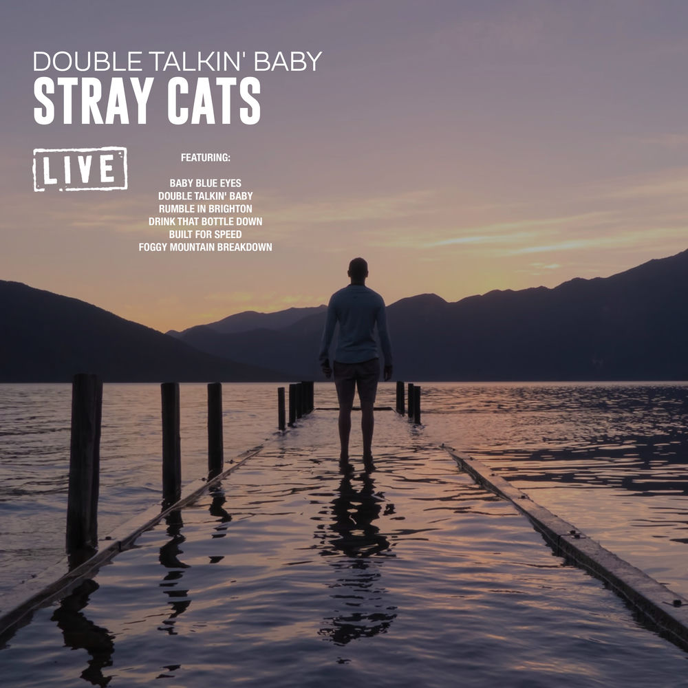 Lonely stray. Lonely stray
