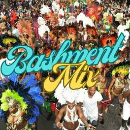 Album cover of Bashment Mix