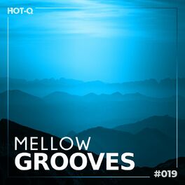Album cover of Mellow Grooves 019