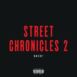 Album cover of Street Chronicles 2