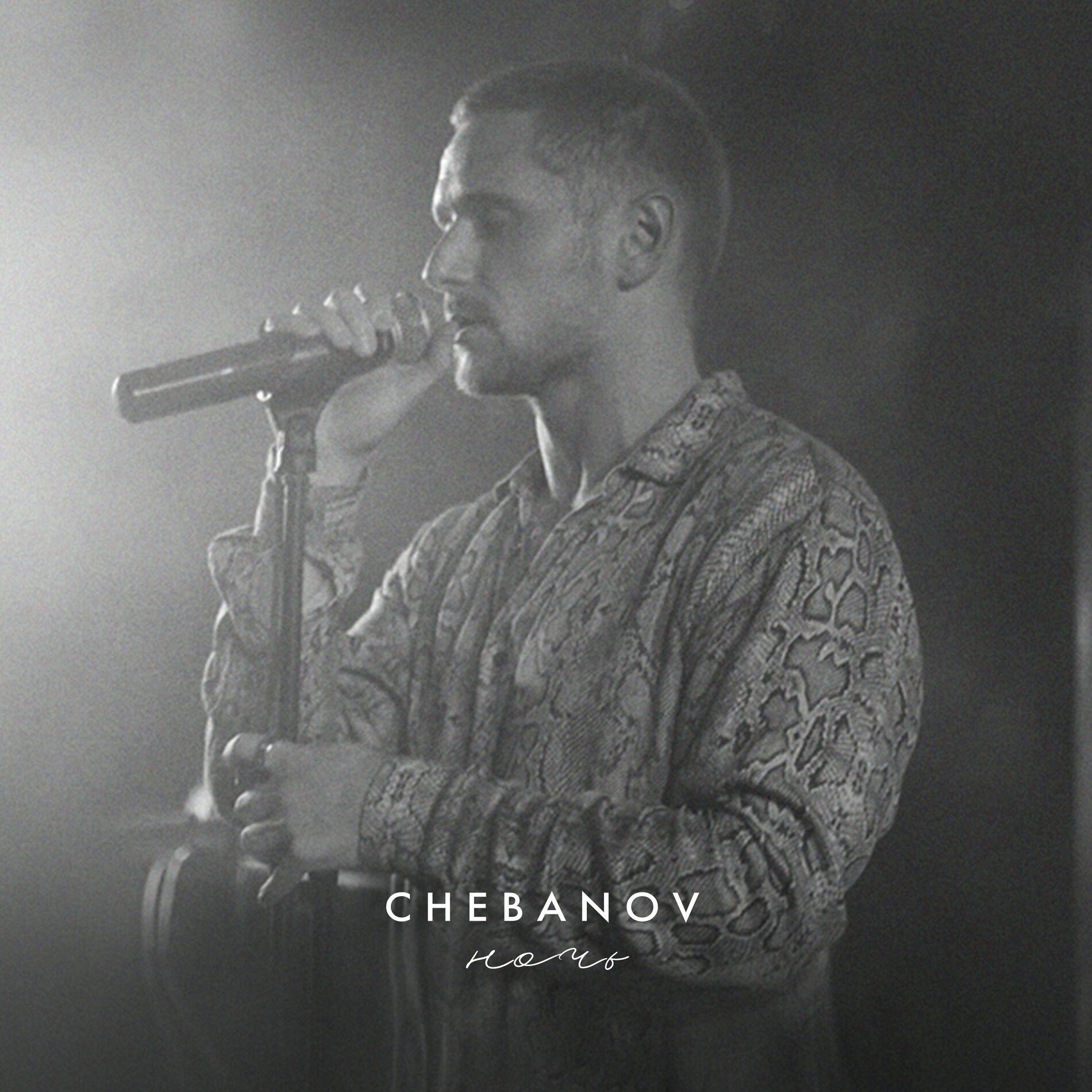 CHEBANOV - Ночь (Cover): listen with lyrics | Deezer