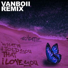 Album cover of What If I Told You That I Love You (Vanboii Remix)