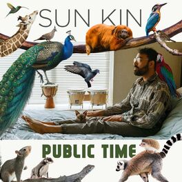 Album cover of Public Time