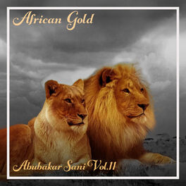 Abubakar Sani African Gold Abubakar Sani Vol 11 Lyrics And Songs Deezer