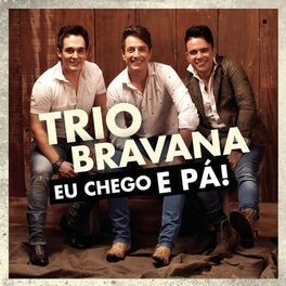 Album cover of Eu Chego e Pá