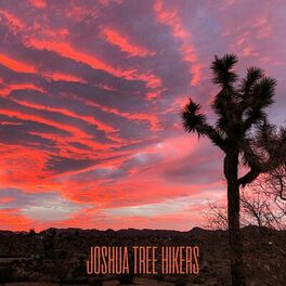 Album cover of Rainy Weekend In Joshua Tree