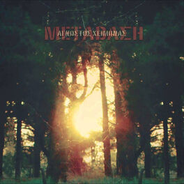 Album cover of Metavasi