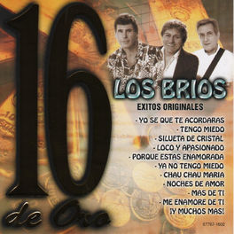 Album cover of 16 de Oro