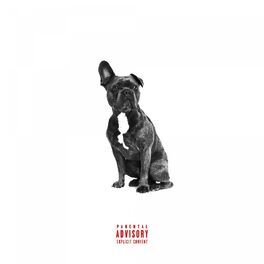 Album cover of Alpha