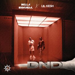 Album cover of DND