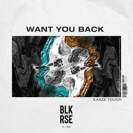 Album cover of Want You Back (KAAZE Touch)