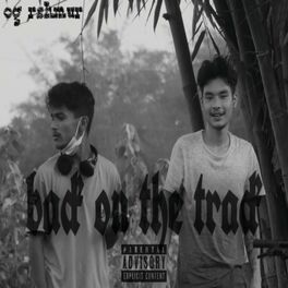 Album cover of Back on the track