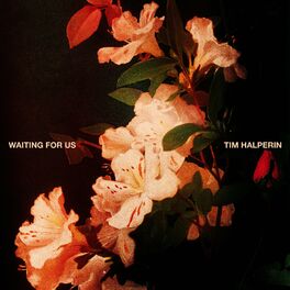 Album cover of Waiting For Us