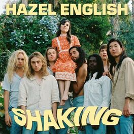 Album cover of Shaking