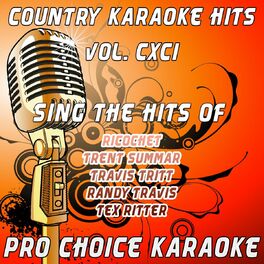 Album cover of Country Karaoke Hits, Vol. 191 (The Greatest Country Karaoke Hits)