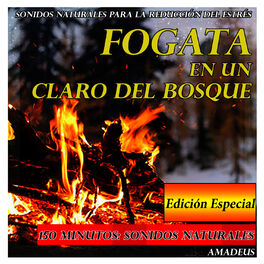 Album cover of Sonidos Naturales para la Reducción del Estrés: Fogata en un Claro del Bosque: Edición Especial