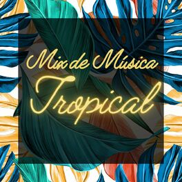 Album cover of Mix de Música Tropical
