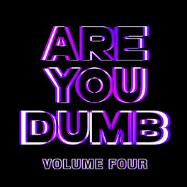 Album cover of Are You Dumb? Vol. 4