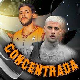 Album cover of Concentrada