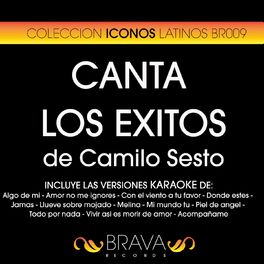 Album cover of Canta los Exitos de Camilo Sesto