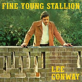 Album cover of Fine Young Stallion