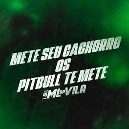 Album cover of Título METE SEU CACHORRO - OS PITBULL TE METE
